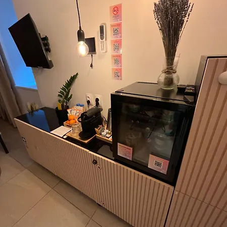 Sauna Near Centre/airport Prag