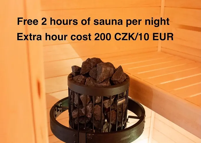 Sauna Near Centre/airport